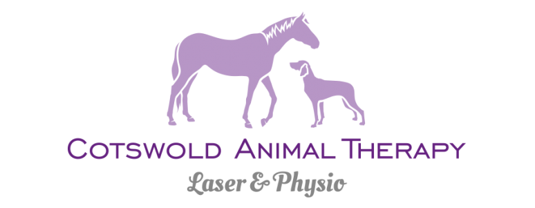 Animal Therapy